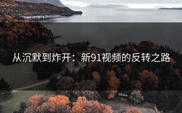 从沉默到炸开：新91视频的反转之路